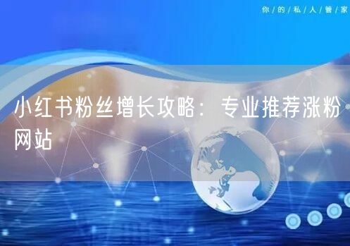 小红书粉丝增长攻略：专业推荐涨粉网站