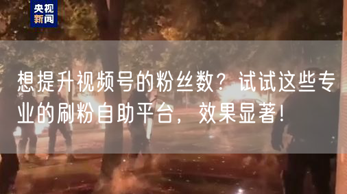 想提升视频号的粉丝数？试试这些专业的刷粉自助平台，效果显著！